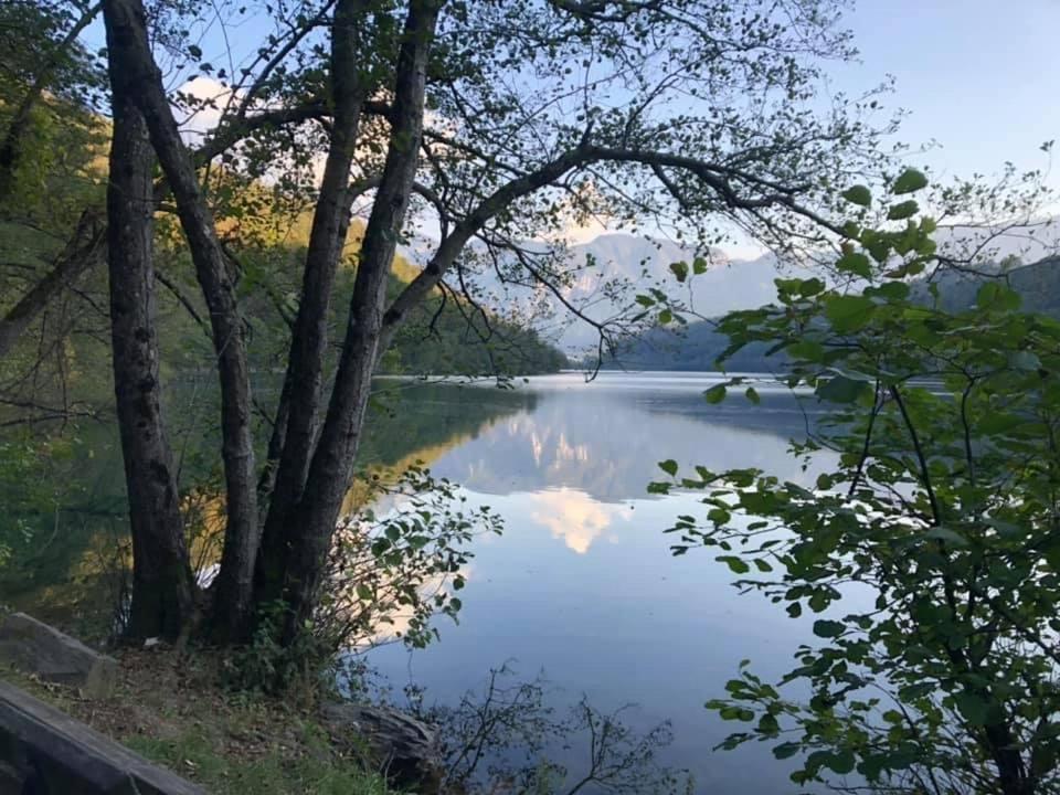 Villa Miriam Levico Terme Kültér fotó